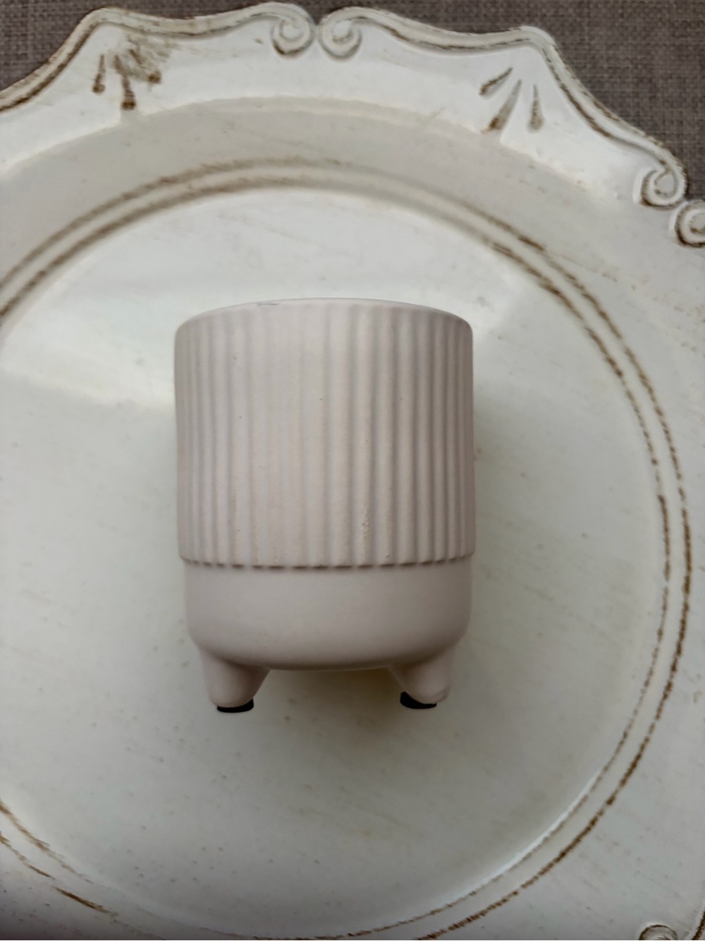 Mini Minimalist Cream Ceramic Planter with Ribbed Texture
